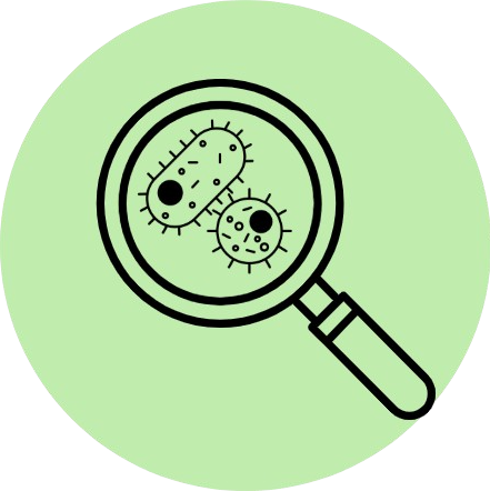 Analis Bacteriologico